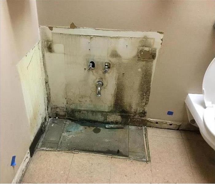 Moldy wall of a bathroom with plumbing pipes and a white toilet.