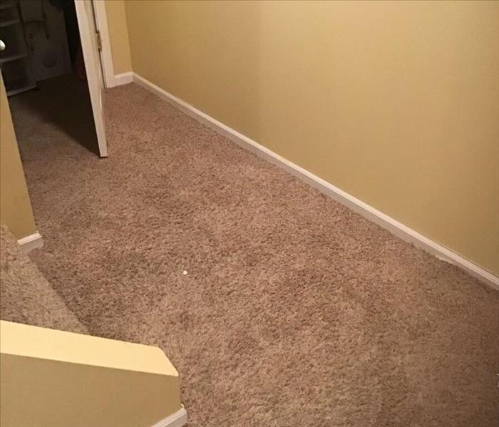 Wet brown carpet in a basement with tan walls.