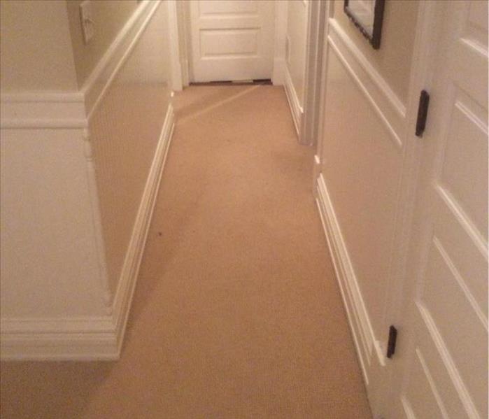 Wet tan carpet in a hallway with white trim and white doors.