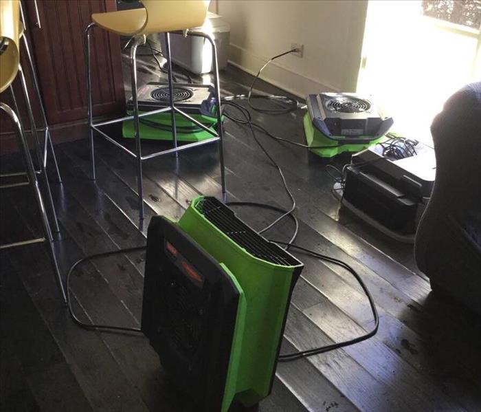 Hardwood floor with green air movers and a kitchen stool in the background.