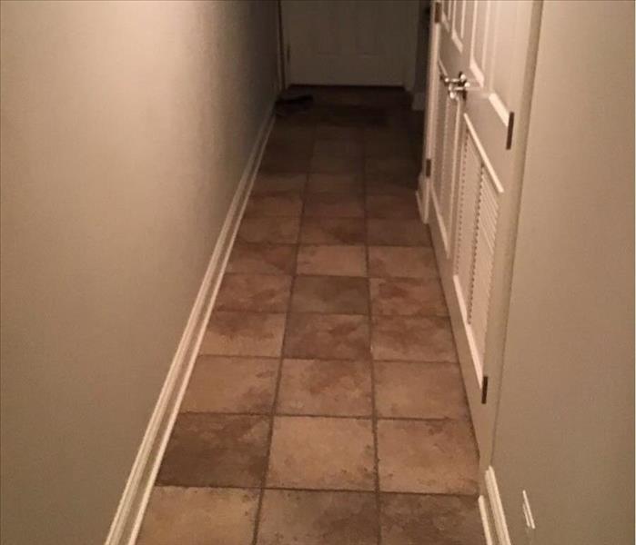 Wet brown tile in a hallway with white walls and white trim.