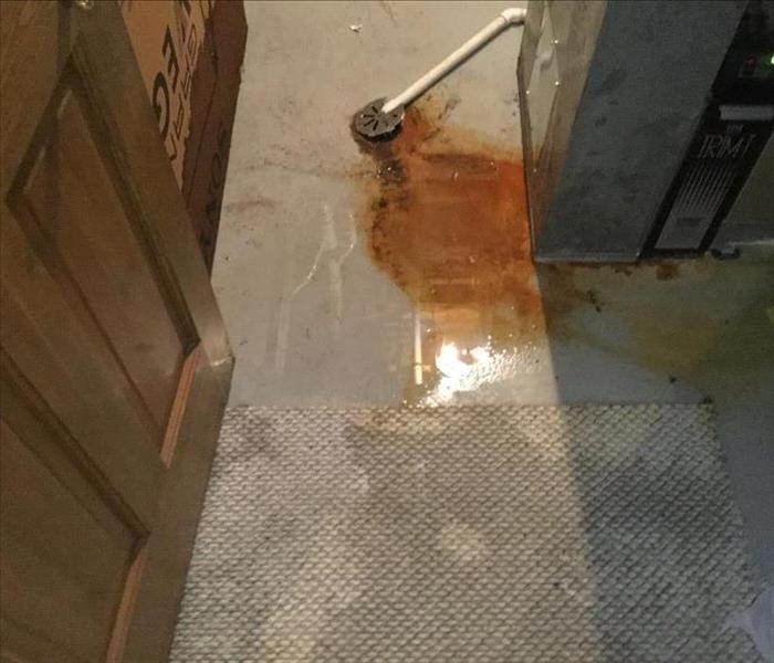 Wet light brown carpet with a drain and rusty water on the basement floor.
