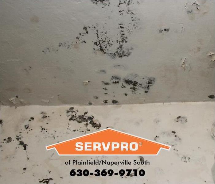Mold is shown on a wall and ceiling. 