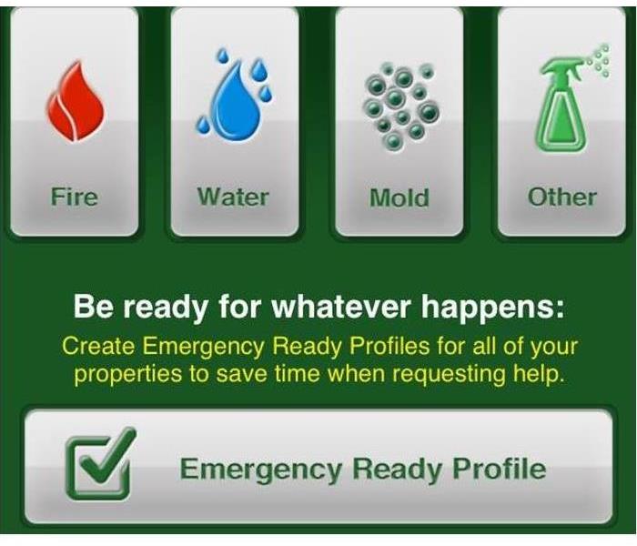 Small red fire, blue water, black mold and a green bottle icon in white boxes with a green background.