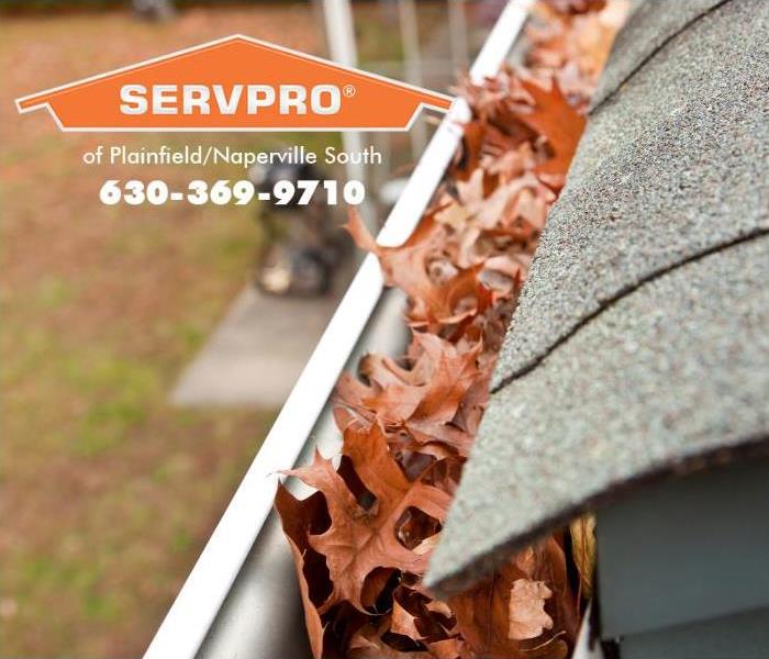 A rain gutter is shown clogged with leaves and trees debris.