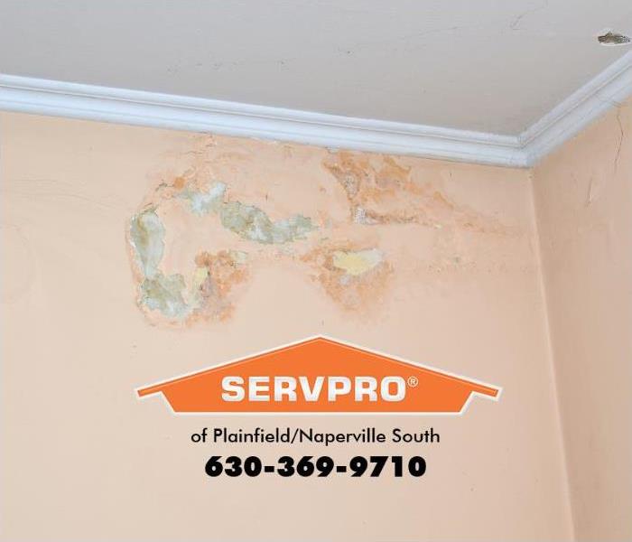 Water damage blisters and stains can be seen on an interior wall.