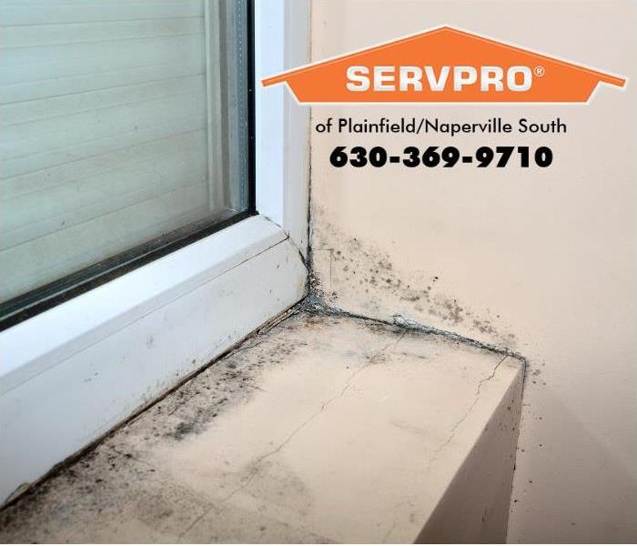 Mold is shown growing by a window. 