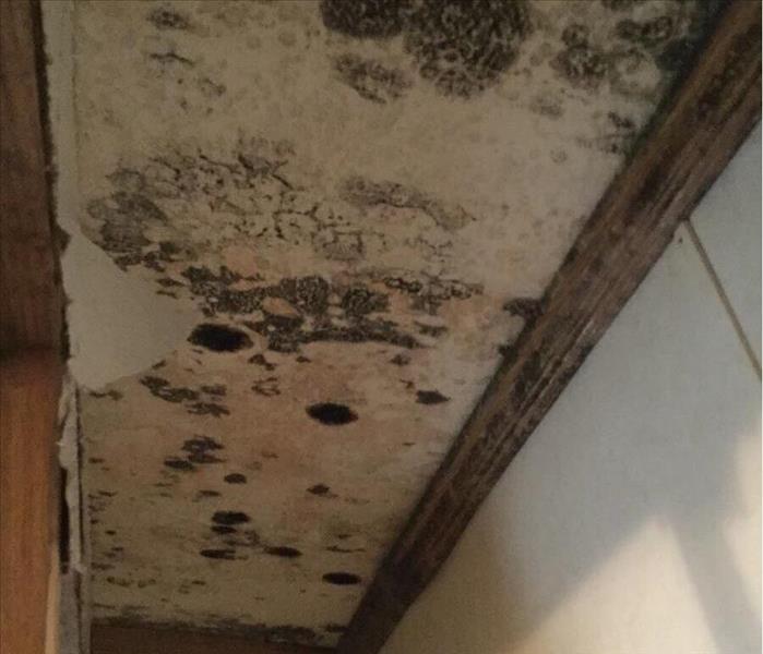 Black mold spots on a white ceiling of a closet with brown trim.